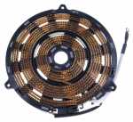 Induction Board - 49123025 Induttore [Candy Hoover]