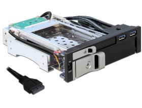 Delock Hdd Mounting Frame - 5.25? Mobile Rack For 1 X 2.5? + 1 X 3.5? Sata Hdd + 2 X Usb